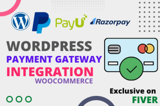 integrate payment gateway paypal razorpay stripe error slove