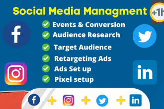 setup facebook, instagram, twitter and linkedin ads campaign