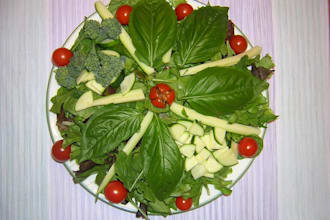 send you my favorite raw food recipes