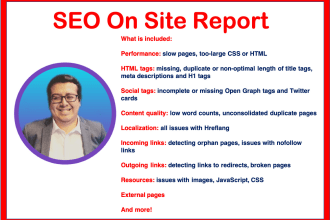 do a full SEO on site optimization report