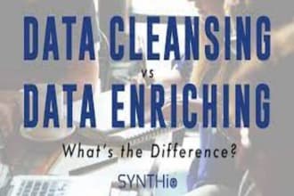 data cleansing, data enrichment, data processing and data entry and unspsc code