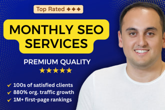 provide full seo expert service, best monthly packages