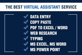 be your virtual assistant for data entry, copy paste, excel, and web research