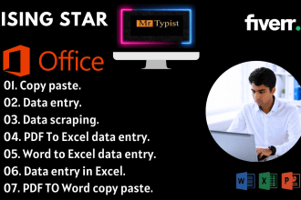 provide perfect data entry service and copy paste