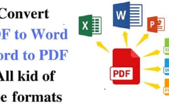 do PDF conversion,file conversion and convert file format
