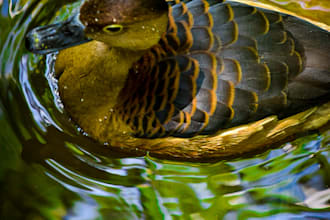 nature potography my contry