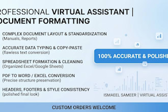 your virtual assistant of data scrubbing copy paste for your business