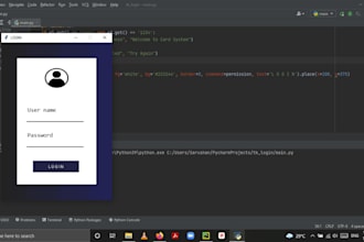 do python project, python task, and python gui