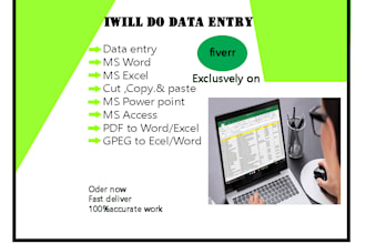 do data entry on ms office