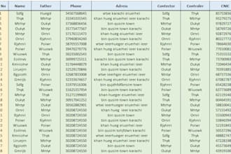 do data entry, clean, edit, organize, and merge excel data