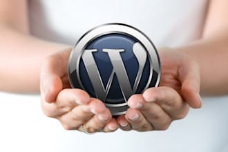 do wordpress plugin, theme customization and fix site