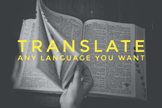 translate any languages i am expert