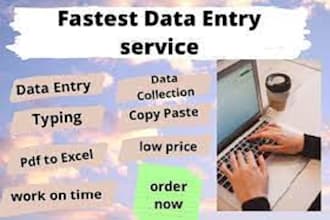 data entry, web research, copypaste, typing work