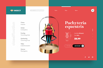 responsive ecommerce website in low budget