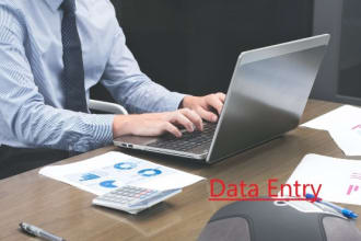do a fast typing job, retype scanned pages, pdf to word, pro typist