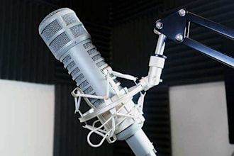 rap on your song with 100 percent effort and professionally