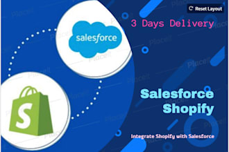 salesforce and shopify rest API integration