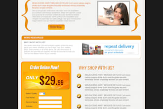 design a  responsive website
