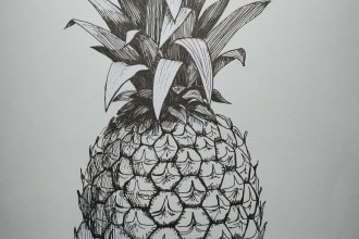 create awesome botanical  illustrations