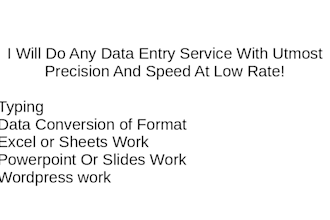 do express data entry,PDF conversion, excel,PPT work