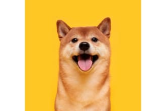 delete any background from the photo