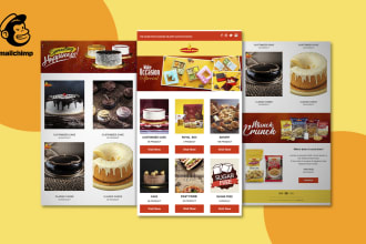 professional mailchimp email template design