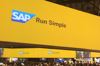 support you in sap ecc6 and s4hana financial accounting