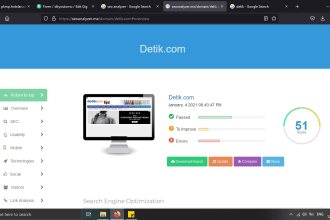 create profesional SEO report