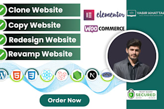 clone, copy, design, redesign or duplicate any website