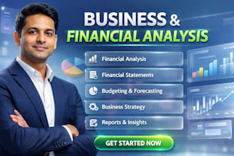 do financial analysis and business reporting for companies