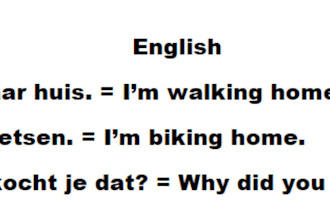 translate from english to dutch