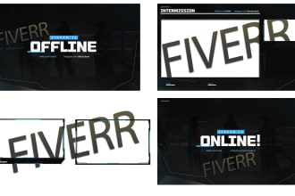 package stream csgo overlay