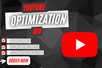 provide youtube SEO for you
