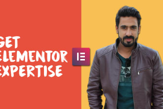 be your elementor guy for elementor websites