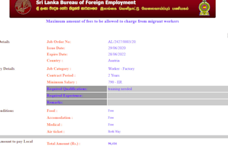 typing , data entry , translating , editing