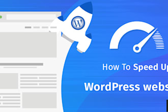 do wordpress speed optimization, page speed insights