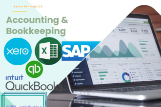 do bookkeeping using quickbooks, xero, excel and sap
