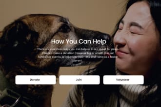 be your charity, non profit website designer