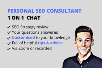 be your SEO strategy consultant