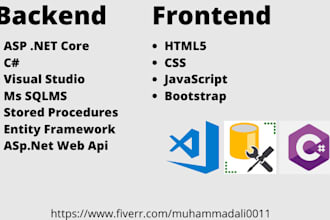 fix, develop and deploy your asp dot net website