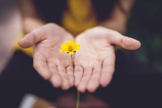 send reiki energy to aid your career success