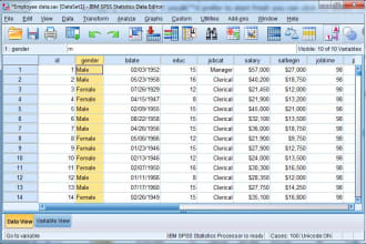 do data analysis and write statistical report eviews, spss, excel