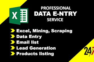 be your virtual assistant for fast and accurate wordpress and excel data entry