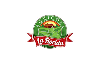 design a mexican vegetable growers company logo in 1 day