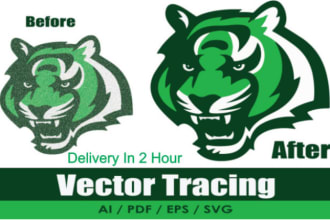 trace vector, redesign and clean up images