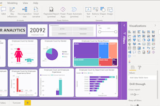 create professional reports and dashboards