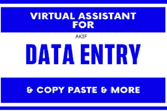 do data entry data anaysis