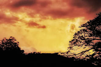 give you beautiful  nature photos