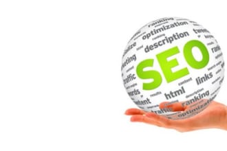 give You SEO Action Plan For New Site