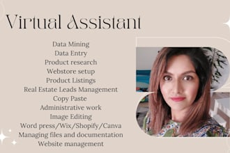 be your virtual assistant for data entry and web search